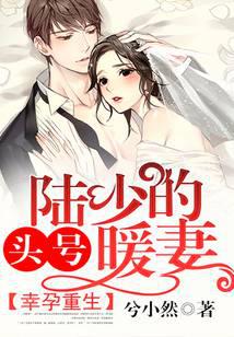 幸孕重生：陆少的头号暖妻